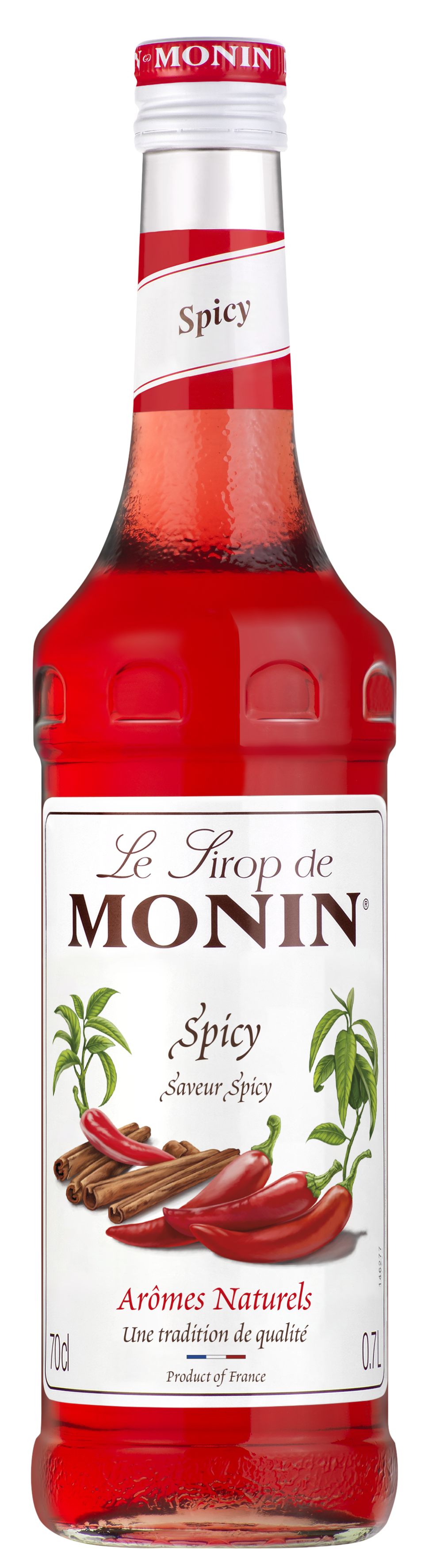 MONIN Premium Spicy syrup 700 ml